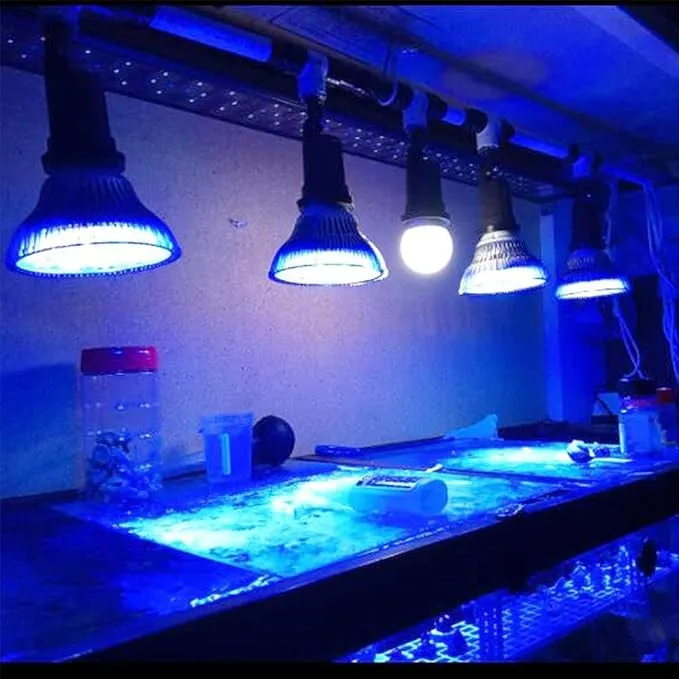 uv led aquarium light 05